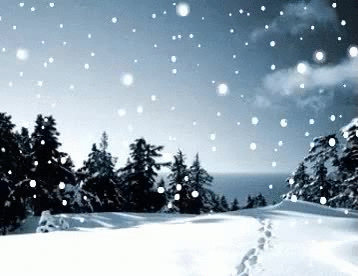 【荣耀中国】雪缘文/秋之韵(图4)