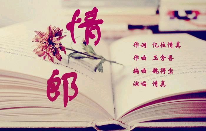 【经典推荐 军人风采】鲁坡//爱你于你无关（图8）