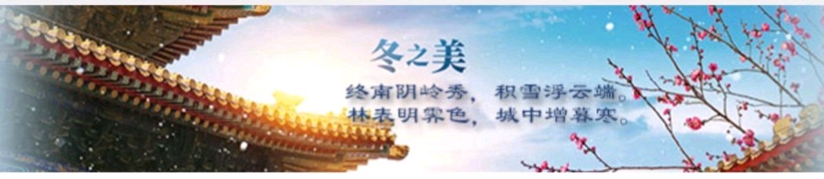 【重磅推出 军人风采】鲁坡//雪落关中铺冬韵[系列作品展四首]（图3）