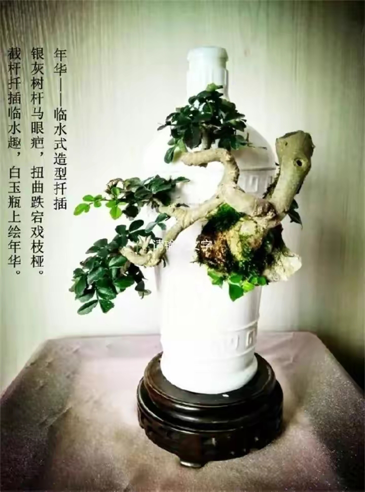 ［养生保健栏］谈谈一个臀酸腿痛腿麻的严重案例及其它（文/孙述考）……莲叶之珠文学社