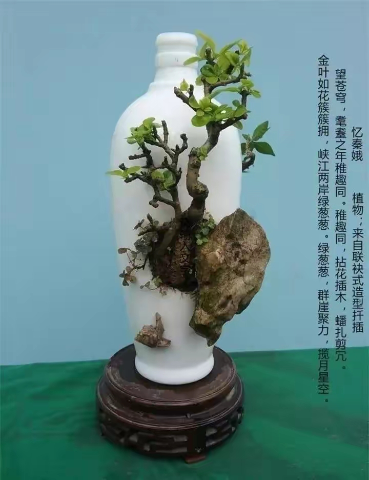 ［养生保健栏］谈谈一个臀酸腿痛腿麻的严重案例及其它（文/孙述考）……莲叶之珠文学社（图3）
