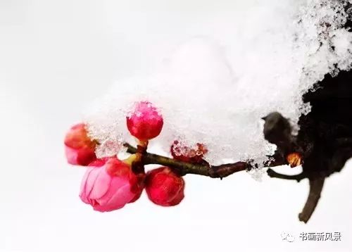 同在祖国的蓝天下——作者:郝继 明——【今日诗坛】征稿——都市头条(图5)