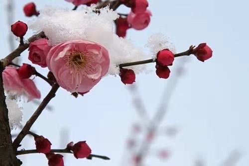 躬耕力行秃笔写——庆祝【1.1世界诗歌春晚文化日】一周年献礼！🌺文：江花（北京）神马（深圳）世界诗歌研究院【世界诗人名人展】（10776）（图4）