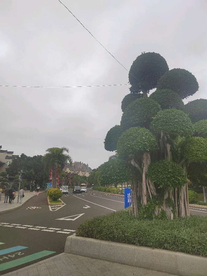 海南度假十八首(图36)