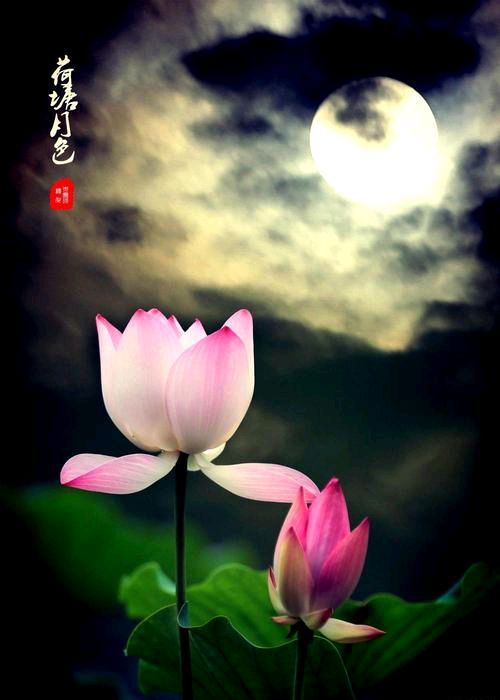 【新山东文学社】《苏来村纪行诗一组(十五首)》作者/董彦卿(图9)