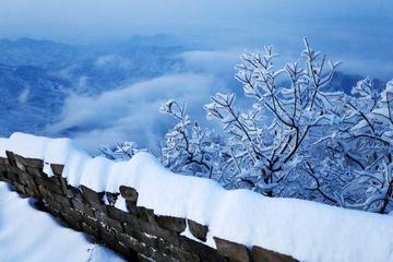 《沁园春·雪》作者:毛泽东【主播:许刚】【桃源国际诗歌文化传媒集团】用声音传递温暖以诵读致敬人生♬（图5）