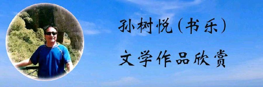 中华诗艺社黑龙江分社微刊第274期(图30)