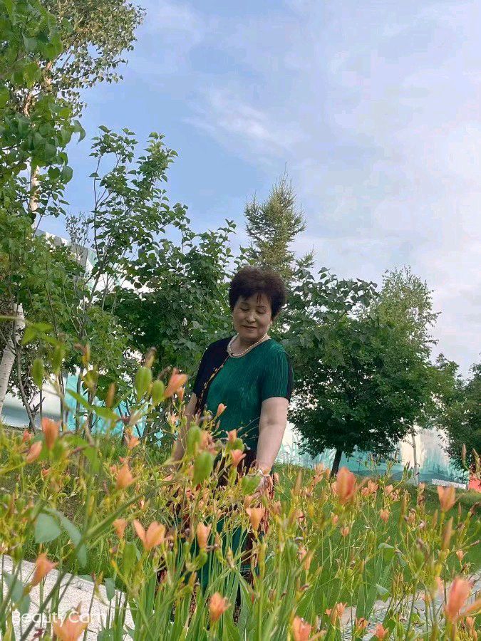 中华诗艺社黑龙江分社微刊第274期(图45)