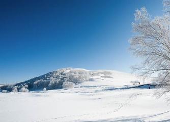 《潜意识》作者:雪原（吉林）主播:雪如玉【桃源国际诗歌文化传媒】用声音传递温暖以诵读致敬人生♬（图5）