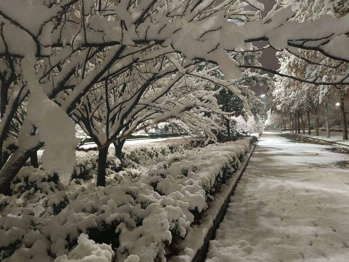 大雪时节雪里灯下驰车行 原作/梁立锋（图5）