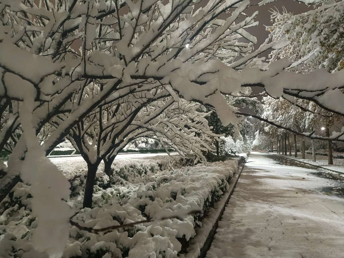 大雪时节雪里灯下驰车行 原作/梁立锋（图4）