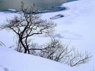 《望雪》作者:春羽【主播:清泉】【桃源国际诗歌文化传媒集团】用声音传递温暖以诵读致敬人生♬（图5）