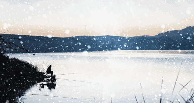 【名家风采】春雪（外三首）//文:蒲公英//《思归客文苑》征稿//都市头条（图5）