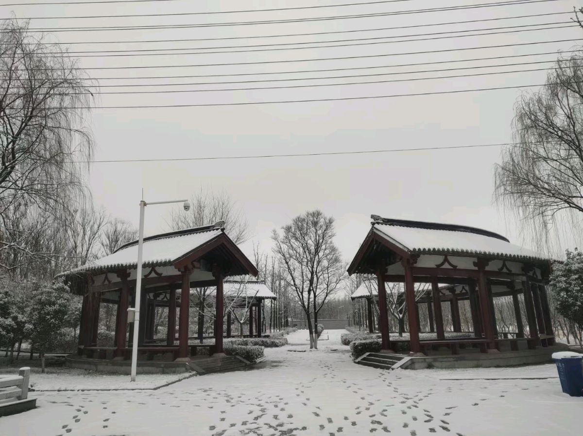 雪——作者: 海阔天空——【今日诗坛】征稿都市头条(图7)