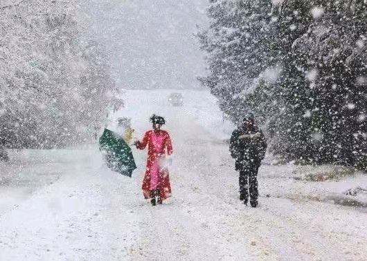 雪 终究落到了神都（图3）