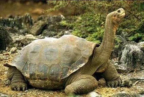 【明心文学】申力/组诗五首 主播/薇薇（图3）