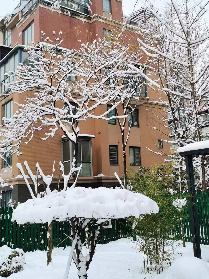 《写在大雪节气》文：王进发（北京）长城总社【世界诗人名人展】（10779）（图4）