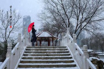 《风过无痕，且听雪落的声音》外一首‖作者:回泉山人【主播:园园】【中国现代诗歌文化传媒集团】现代♬ 馨声（图5）