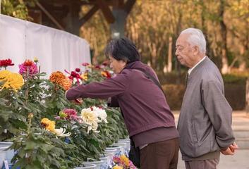 联机全球发布马洪武作品欣赏（图334）