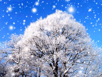 石家庄市藁城区诗词协会同题诗第三十一期《雪花》（图10）