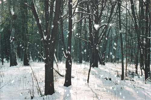 石家庄市藁城区诗词协会同题诗第三十一期《雪花》（图9）
