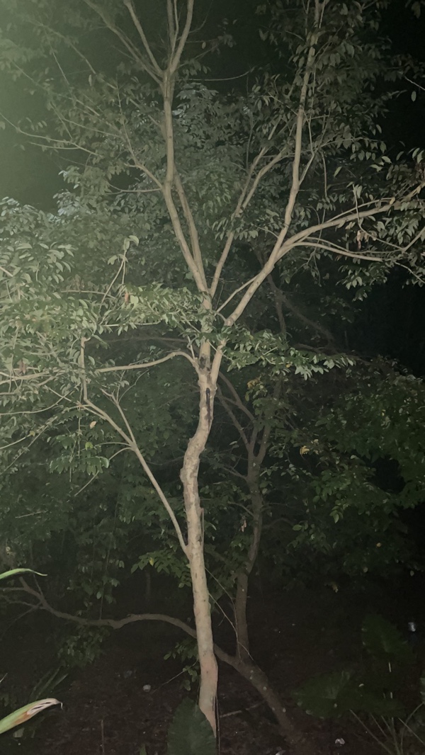 南疆一诗词（三首）京津沪头条（图8）