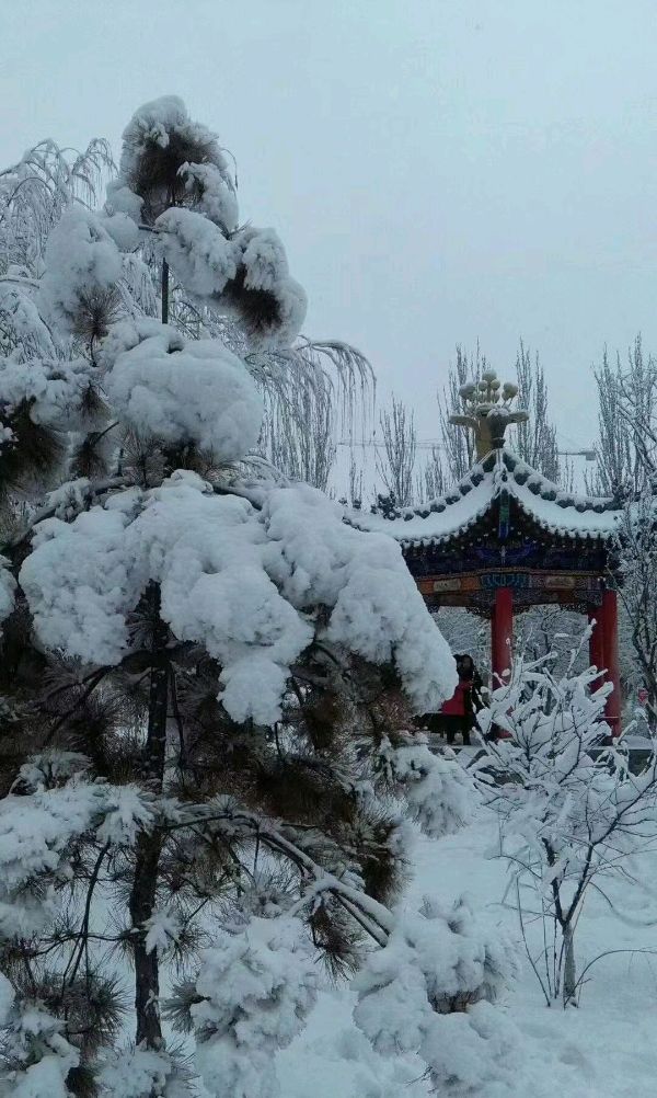 【荣耀中国】西江月~雪詞/姜涛(長春)（图2）