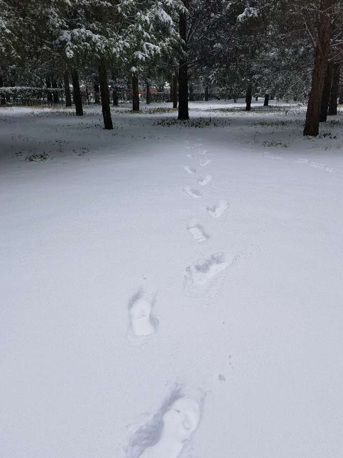 【中国长江文学社】《今年冬天第一场雪》作者 吴卫东//主播 治新//编辑 岁月静好 第7054期（图5）