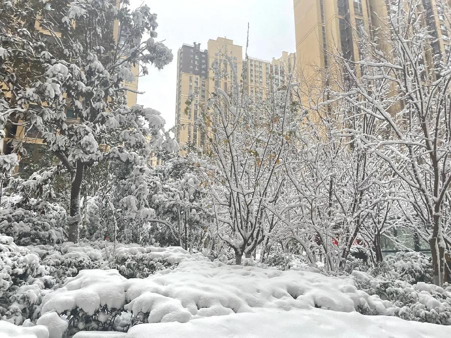 【新诗大观】咏雪（诗三首）||文/张道发（图2）