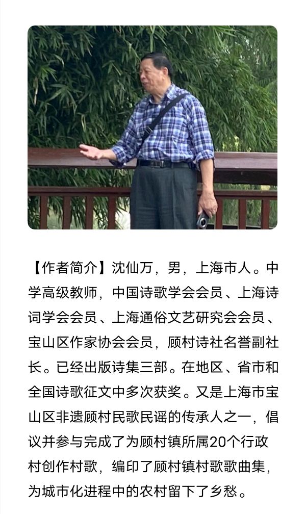 【上海头条】诗生活‖沈仙万微型诗专辑（图2）