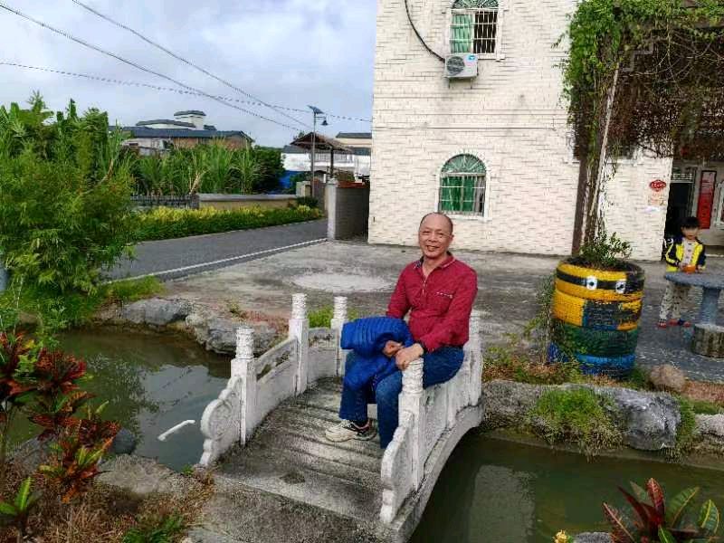 《抓好党建添活力》联机全球发布李辅庆作品欣赏（图7）
