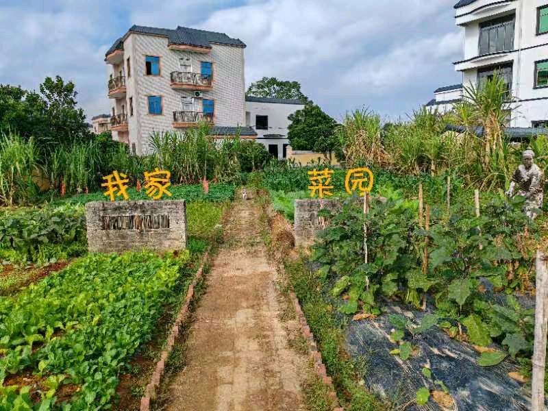 《抓好党建添活力》联机全球发布李辅庆作品欣赏（图13）