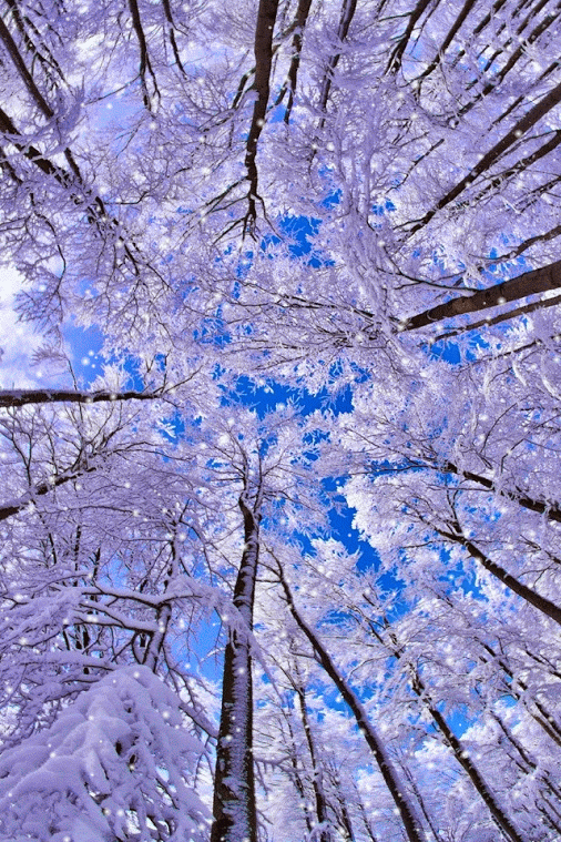 我的世界下雪了~诗||白印良(图8)