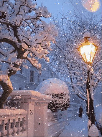 我的世界下雪了~诗||白印良(图12)