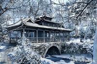 《入冬畅想》（外一首）作者:吴丽跃【主播:孙春华】【中国现代诗歌文化传媒】徜徉诗的海洋聆听天籁之音♬（图6）
