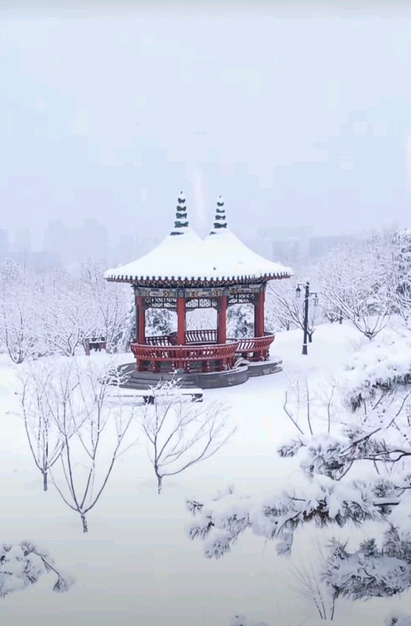 山西作家侯荣臻：《雪，正在路上》（图3）
