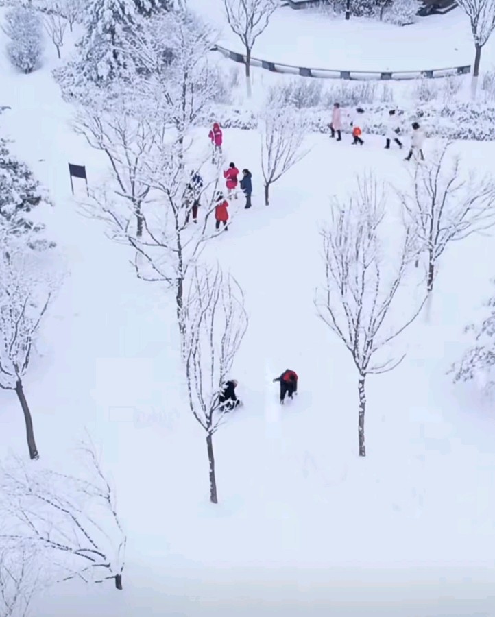 山西作家侯荣臻：《雪，正在路上》