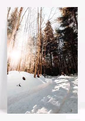 徐峰的《雪》