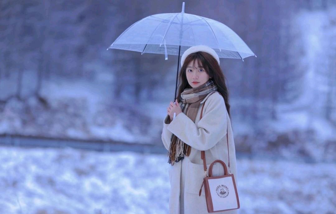 【新山东文学社】《下雪了》作者/子兰 主播/竹林听雨（图4）