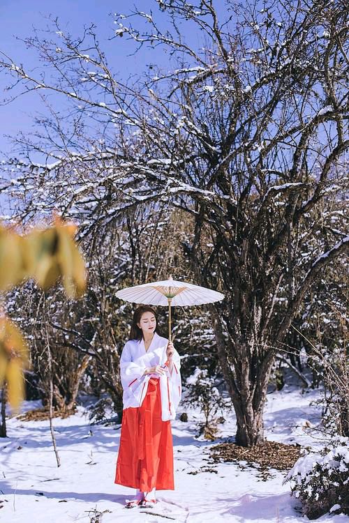 【新山东文学社】《冬日私语》作者/北松青青 主播/雨花石（图4）