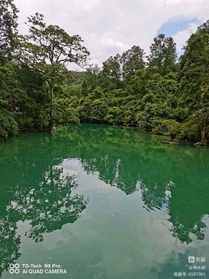 愿隐桃源闲放鹤，静居芝岭散观鸿。（图2）