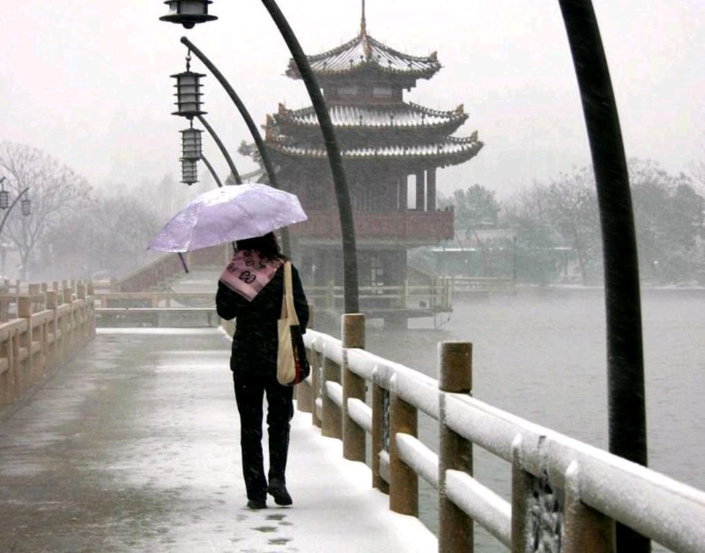 【新山东文学社】《雪之舞》作者/王建生 主播/红叶（图4）