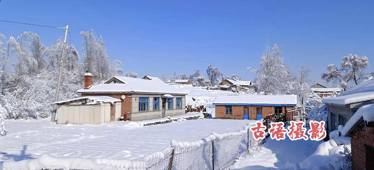 贺圣朝·仲冬初感（文/张华兴）……莲叶之珠文学社（图3）