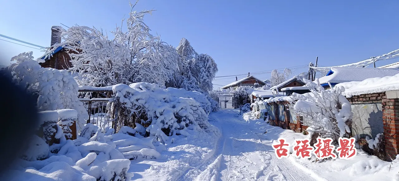 贺圣朝·仲冬初感（文/张华兴）……莲叶之珠文学社（图4）