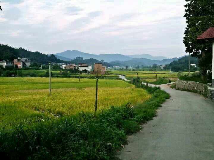 【中国长江文学社】《永远的故乡》作者 罗洪标//主播 福音//编辑 岁月静好 第7067期（图4）