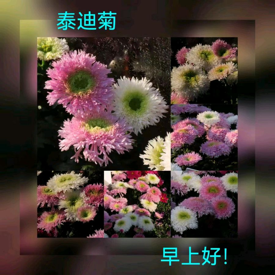 联机全球发布马洪武作品欣赏（图329）