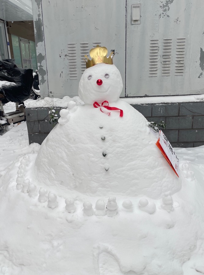 【新诗大观】风雪来袭||文/金粉玉蝶（图3）