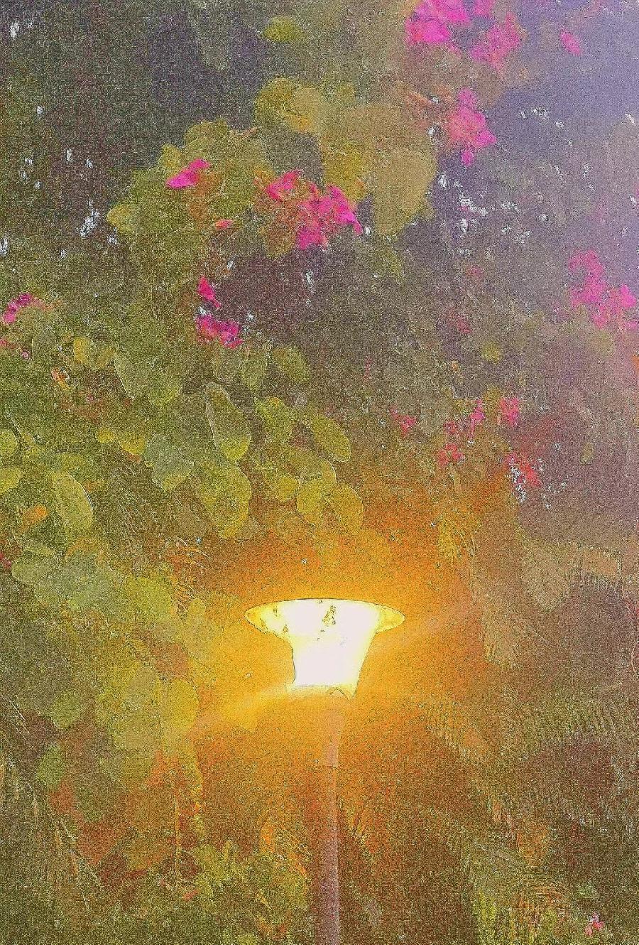 《踏暮畄阳》文／磊怀（图2）