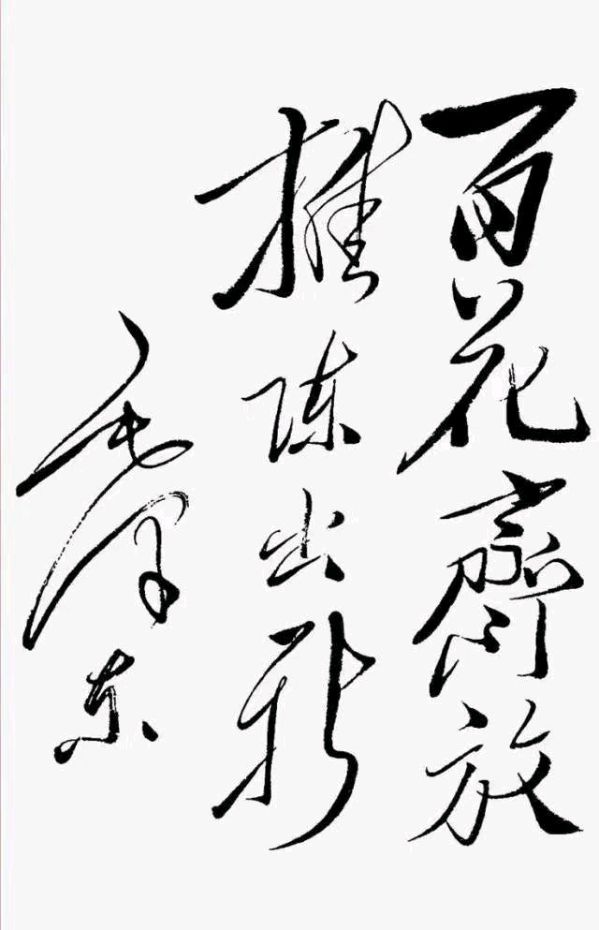 永恒的怀念——为纪念毛主席诞辰一百三十周年而作*作者吉运〔新疆伊犁〕【冰心文化传媒】（图18）