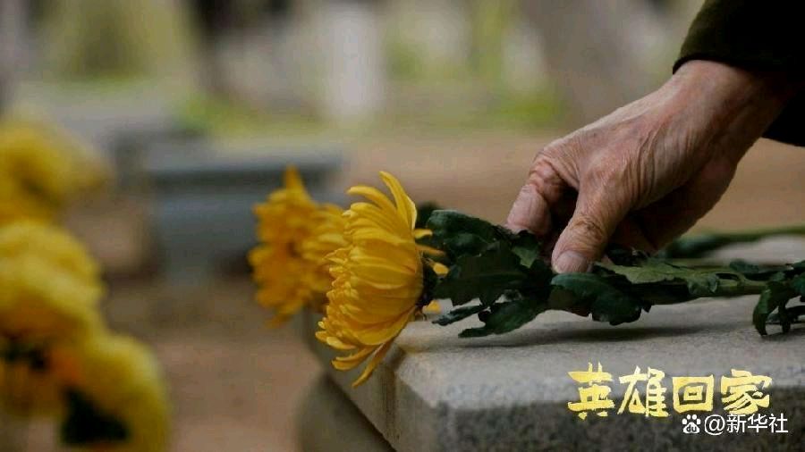 古塔之音 ‖ 【今天接英雄回家】作者/习学林 合诵/国文 心如阳光 配乐/云水禅心（图9）